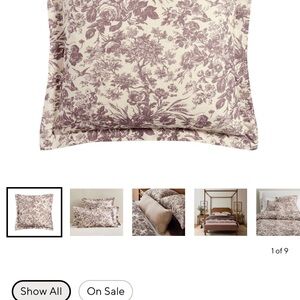 Sorrel Toile euro shams -set of 2